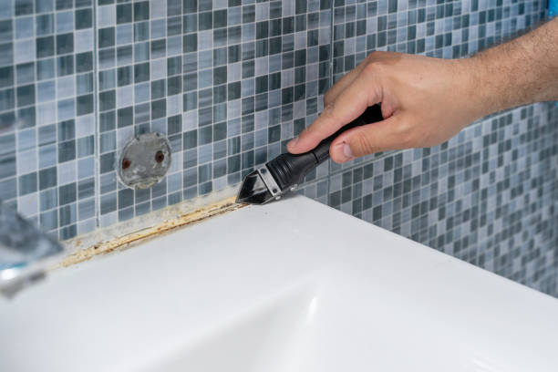 Best Best Mold Removal Companies  in Florence, CO