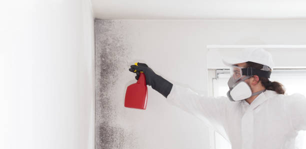 Best Residential Mold Removal  in Florence, CO