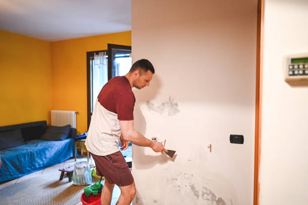 Best Certified Mold Removal  in Florence, CO